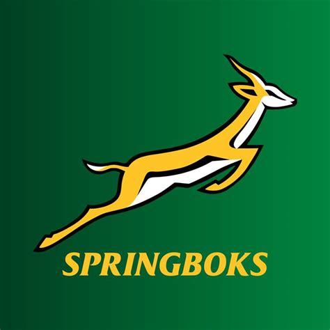 Springboks’ 2023 RWC dates and venues revealed | Toyota Cheetahs