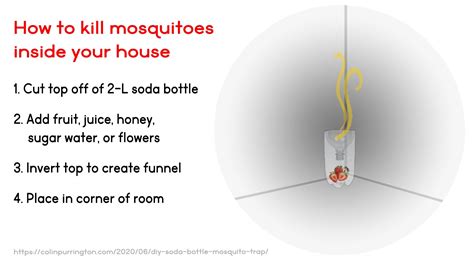 Homemade Mosquito Trap Without Yeast