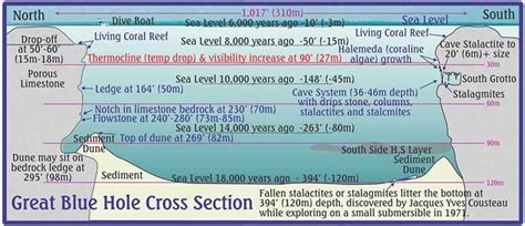 The Great Blue Hole Cross Section, Ambergris Caye, Belize, | Blue hole ...