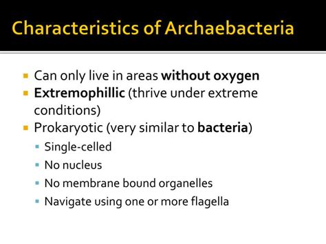 PPT - Kingdom Archaebacteria PowerPoint Presentation - ID:2377448