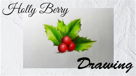 How To Draw Holly Berry Step By Step || Berry Drawing || Holly Berry ...