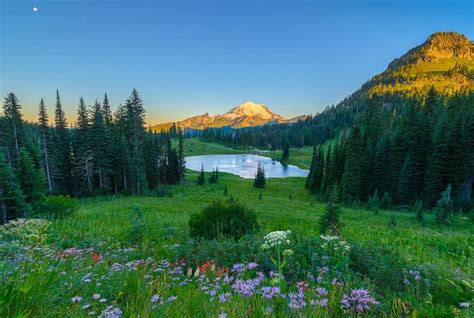 Chinook Pass Summit & Tipsoo Lake | Visit Rainier