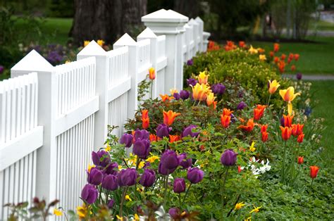 Spring Gardening Checklist | Cozi Family Organizer