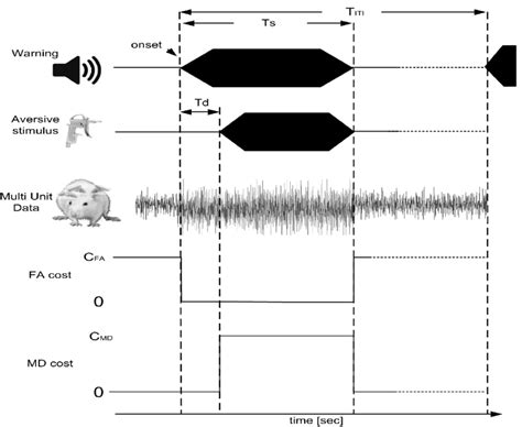 Illustrative warning stimulus, aversive stimulus and acquired data ...