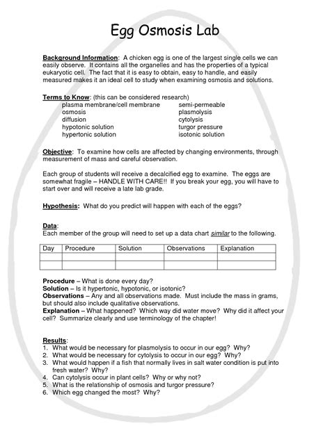 Osmosis Egg Experiment Pdf