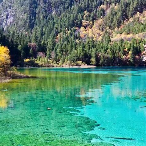 8 Days JiuZhaiGou – AceTour&Travel