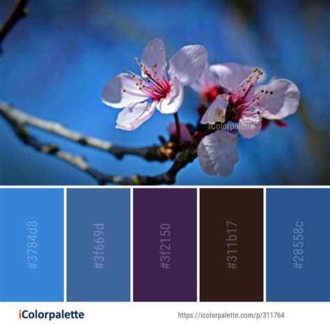 Color Palette Ideas from Blossom Blue Flower Image | iColorpalette