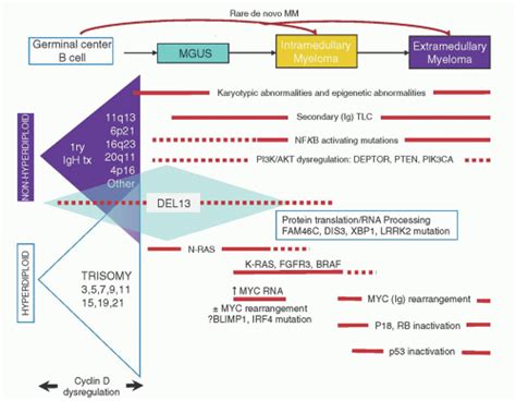 Molecular Genetic Aspects of Plasma Cell Disorders | Oncohema Key