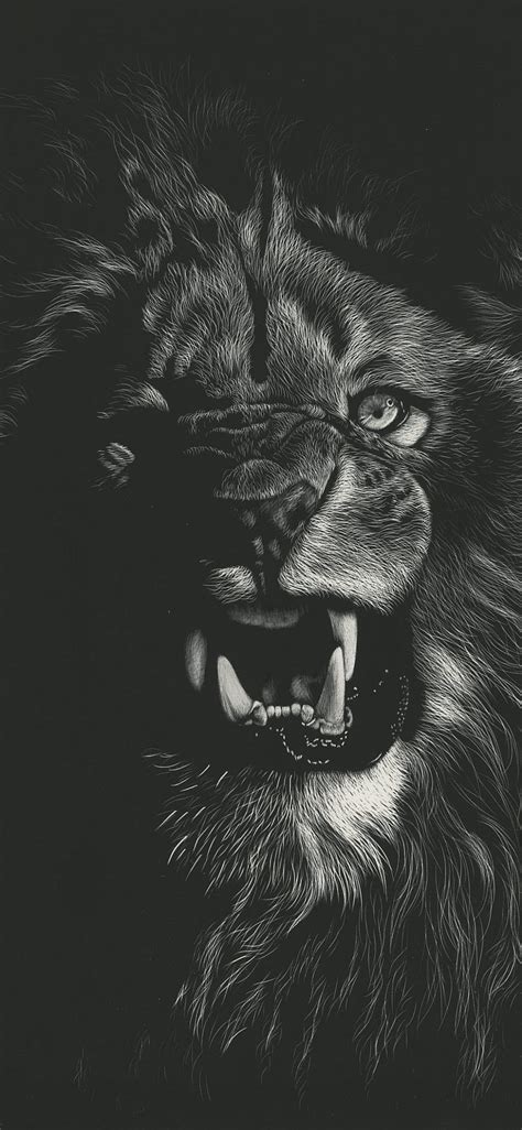 1920x1080px, 1080P free download | The lion roar, eyes, jungle, lions ...