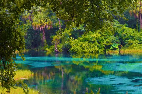 The Top Things To Do in Citrus Springs, Florida - Deltona Homes