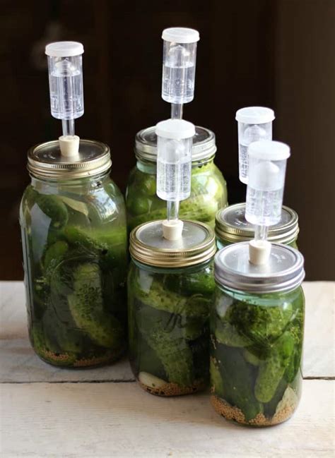 Fermented Pickle Recipe | Besto Blog