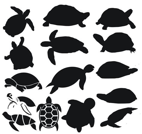 Turtle Silhouette