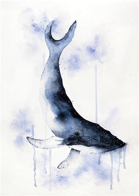 Whale Watercolor by teatimetomorrow on DeviantArt