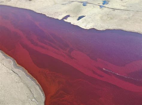 River turns blood red after second largest oil spill in Arctic Circle ...