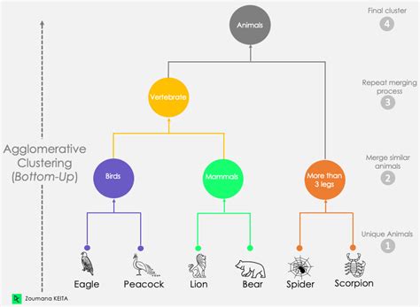 An Introduction to Hierarchical Clustering in Python | DataCamp