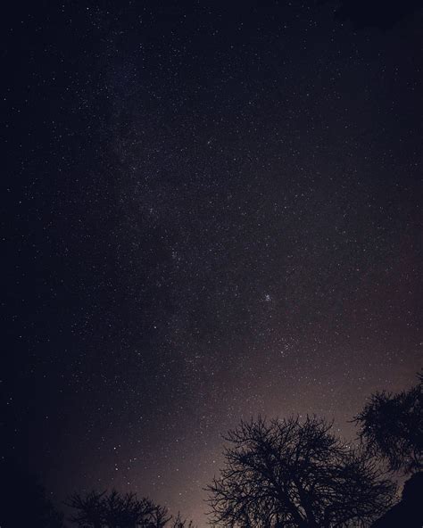 Nature, trees, stars, night sky, night, sky, starred sky, HD phone ...