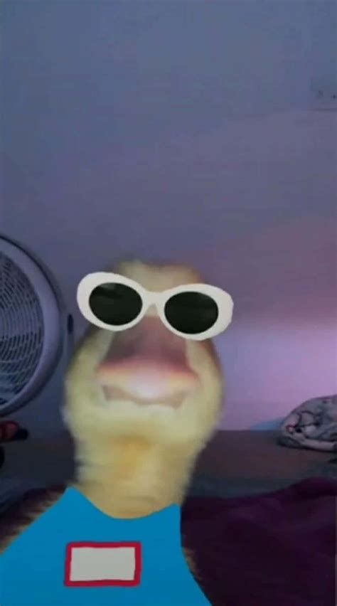 Download Funny Duck Cute Pfp For Tiktok Wallpaper | Wallpapers.com