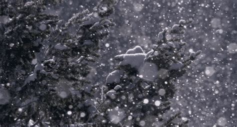 snow flakes gif | Tumblr