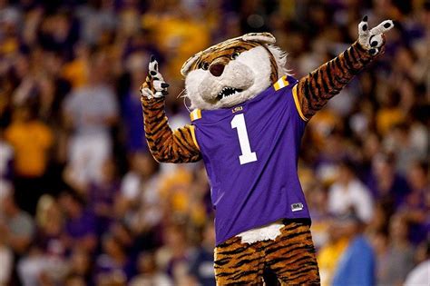 LSU Tigers Mascot, Louisiana State University, Baton Rouge, Louisiana ...