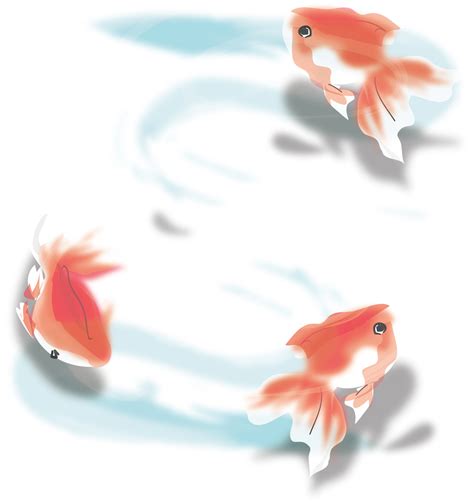 [最新] 金魚 イラスト かわいい 137188-金魚 イラスト かわいい 無料