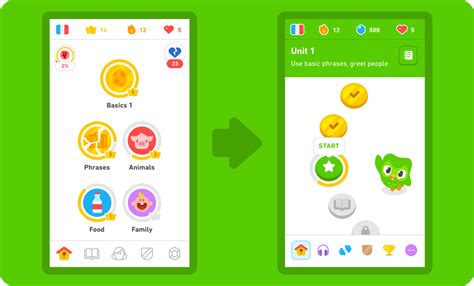 The Science Behind Duolingo's Home Screen Redesign