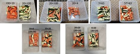 A picture with the stimuli used in each condition of Experiment 1 (from ...