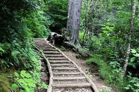 Photos of Chimney Tops Trail - Tennessee | AllTrails