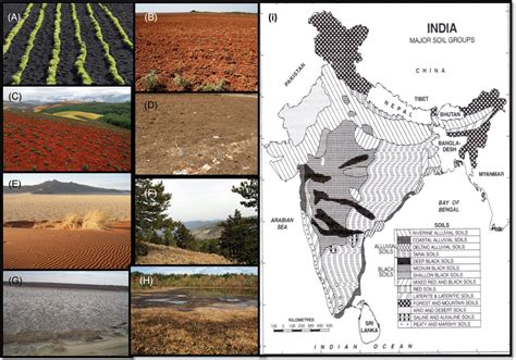 2. Different soils found in India: (A) black soil, (B) alluvial soil ...