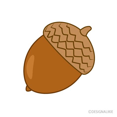 Simple Acorn Clip Art Free PNG Image｜Illustoon