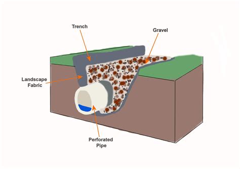 Dry Well Vs. French Drain: Which is the Best Solution? - Build Better House