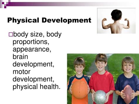 Stages Of Physical Development