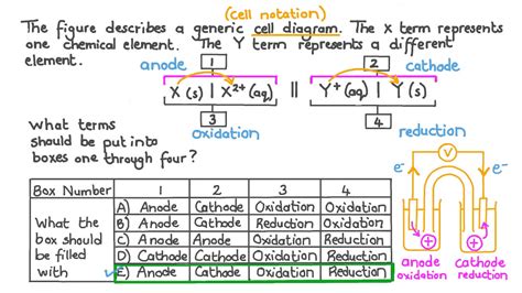 Question Video: Assigning the Correct Labels to a Generic Cell Notation ...