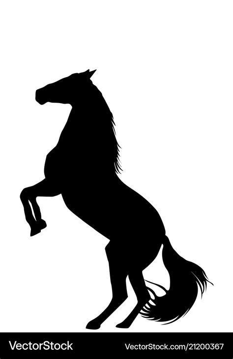 Silhouette of rearing up horse on white background