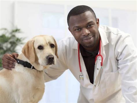 Wellness Clinic - Baltimore Humane Society