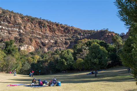 Top 4 picnic spots in Johannesburg