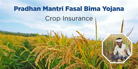 PRADHAN MANTRI FASAL BIMA YOJANA - Chanakya Mandal Online