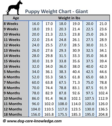 Chihuahua Weight Chart In Ounces - Pets Lovers