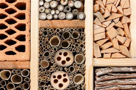 DIY: How to Build an Insect Hotel from Found Materials