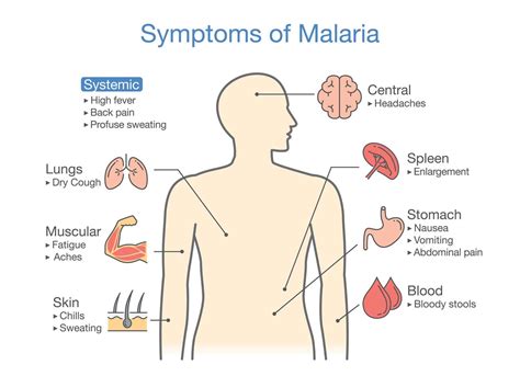 Targets for new malaria drugs found by scientists at Wellcome Sanger ...