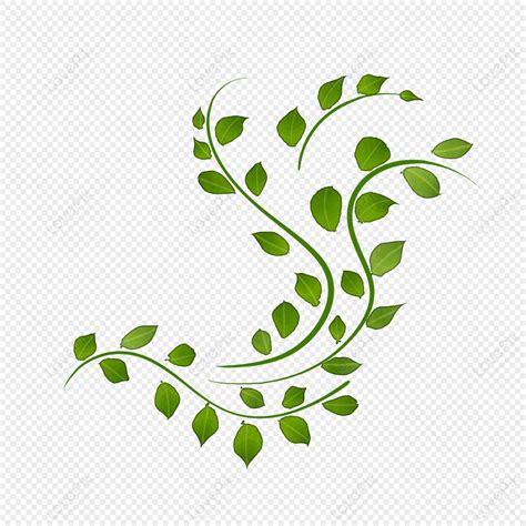 Green Leafy Vine Clipart Free