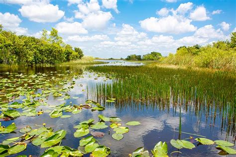 Natural Aquatic Habitat Restoration