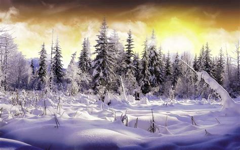 Winter Wallpaper Desktop | WhatsPaper