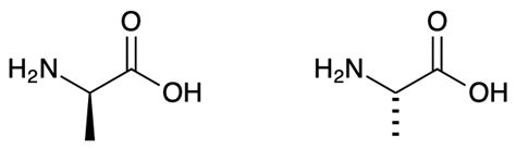 19.13 Amino Acids - Chemistry LibreTexts