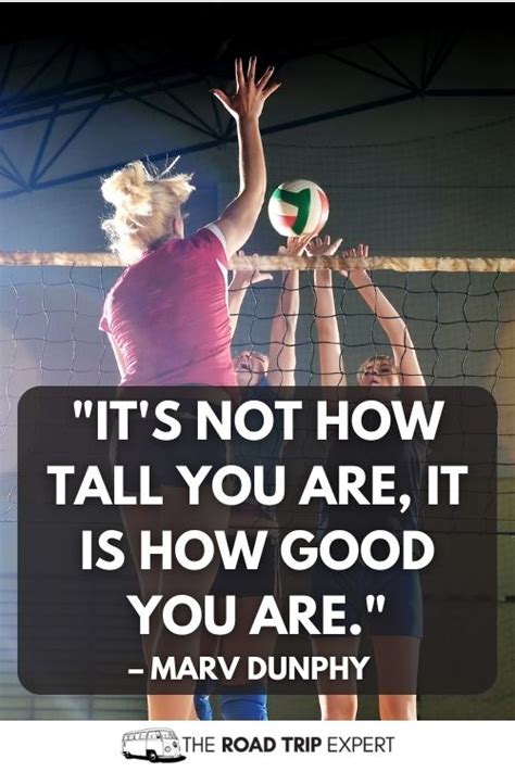 Volleyball Quotes For Teams