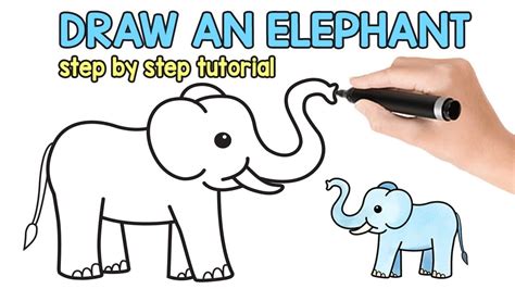 how to draw an easy elephant Cizimi aprendendo kolay lessons hayvan ...