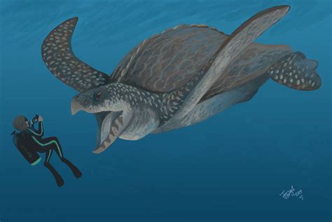 Diving with Archelon by HodariNundu on DeviantArt