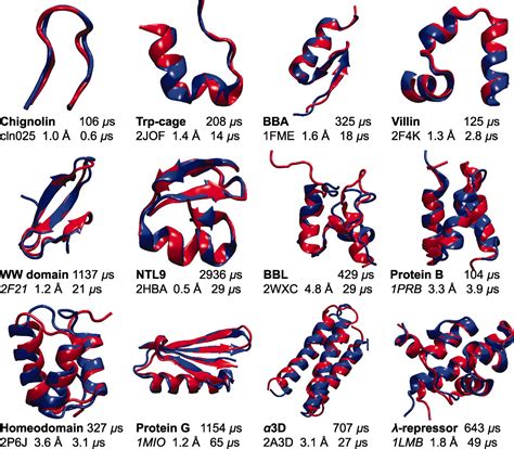 How Fast-Folding Proteins Fold | Science