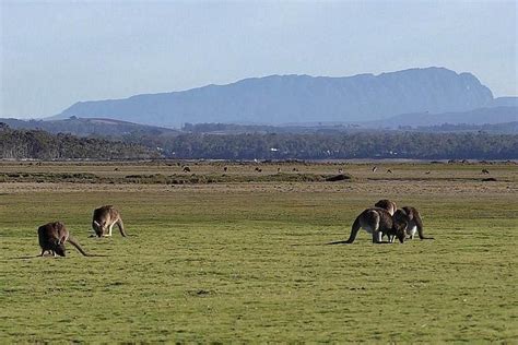 2023 Spend a day in one of Tasmania's best wildlife National Park's