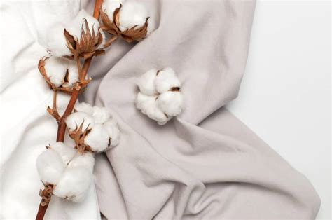 What Is Cotton Fabric? 16 Different Types of Cotton Fabric