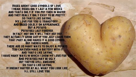 roses aren't good symbols of love / potato :: funny pictures :: heart ...